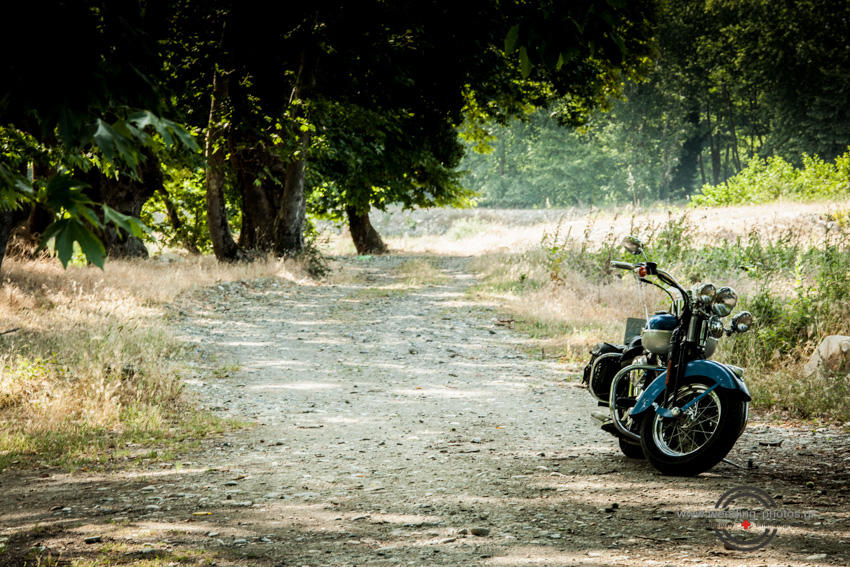 309 NEXT DAY SHOOTING