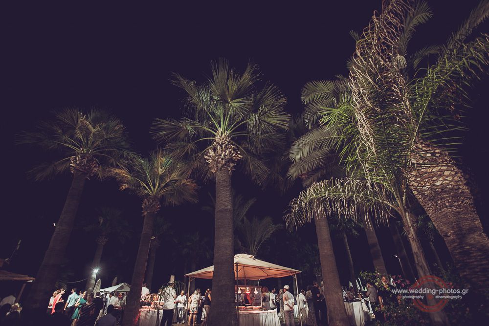 135 CYPRUS PALM BEACH WEDDING